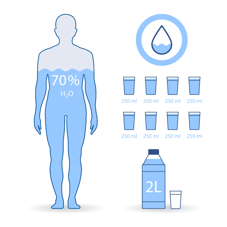 Consommation quotidienne d'eau pour un corps humain.