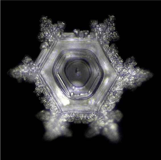 crystallization Mazaru Emoto