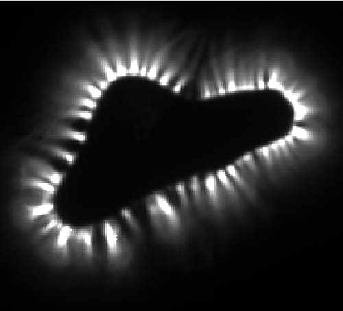 analyse électrophotonique 03