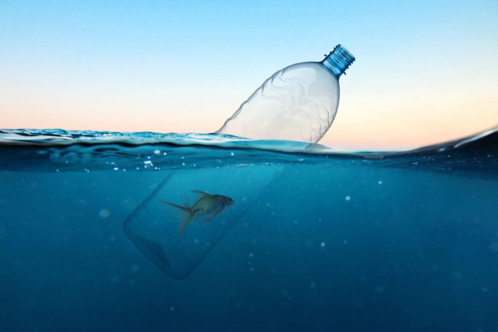 plastic pollution in the ocean