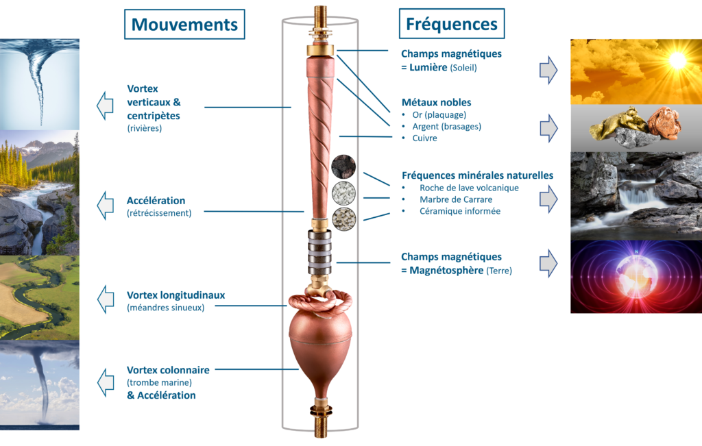 Biomimétisme - Dynamisation - Mouvements - Fréquences