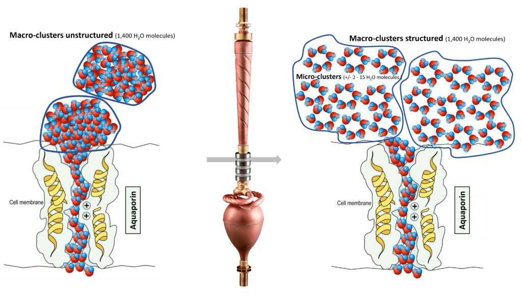 Restructured watermolecules - Biodynamizer